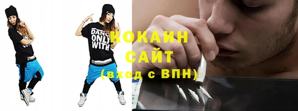 твердый Арсеньев
