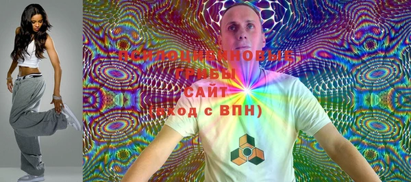 твердый Арсеньев