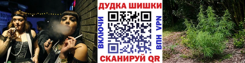 цены наркотик  даркнет формула  Шишки марихуана план  Приморско-Ахтарск 